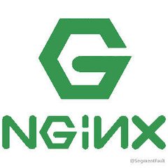 Nginx辅助器_服务器教程