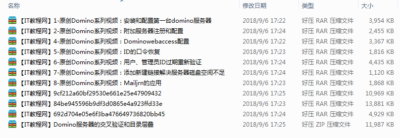 Domino原创经典系列视频（11集）_运维教程