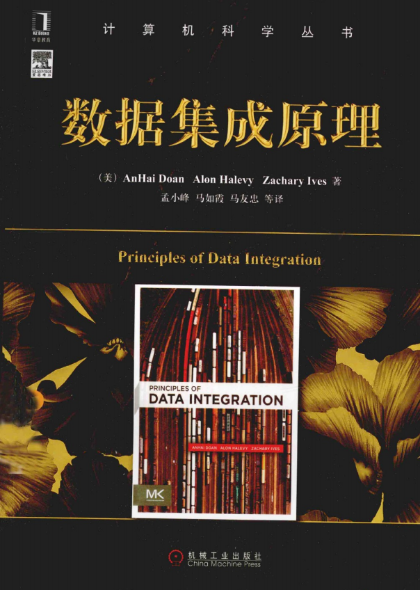 计算机科学丛书:数据集成原理 完整版PDF_数据库教程