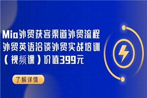 Mia外贸获客渠道外贸流程外贸英语洽谈外贸实战培训（视频课）价值399元