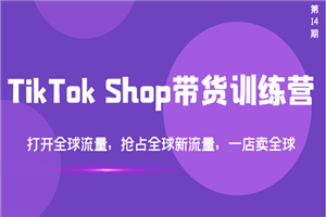 TikTok Shop带货训练营，打开全球流量，抢占全球新流量 一店卖全球(第14期)