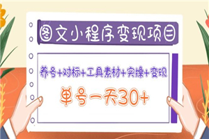 图文案小程序变现项目：养号+对标+工具素材+实操+变现，单号一天30+