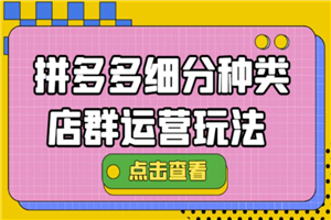 拼多多细分种类店群运营玩法3.0，11月最新玩法，小白也可以操作