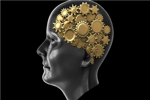 超强的记忆方法训练，价值900元