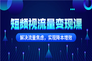 短频视流量变现课：解决流量焦虑，实现降本增效