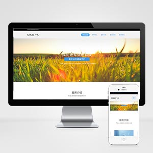 (自适应手机版)响应式机构类网站织梦模板