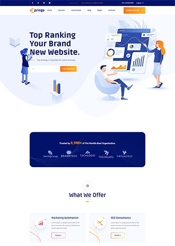 SEO营销咨询服务公司静态网站前端html模板