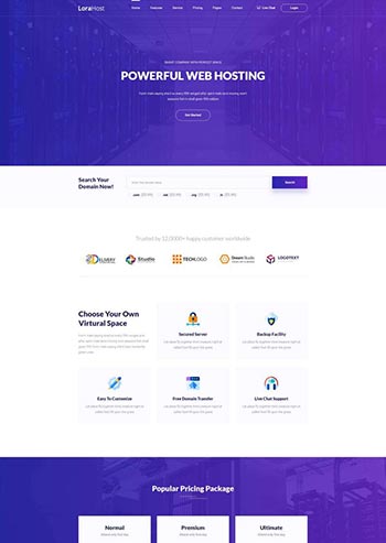 紫色的虚拟主机域名托管服务网站模板