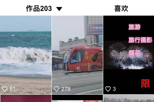 【全网首发】花800买的抖音标签检测源码