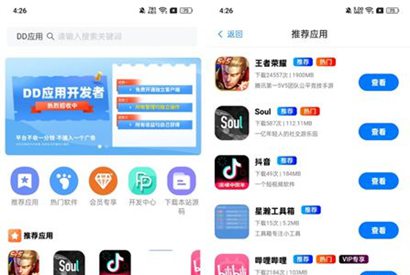 DD应用系统软件库网站源码