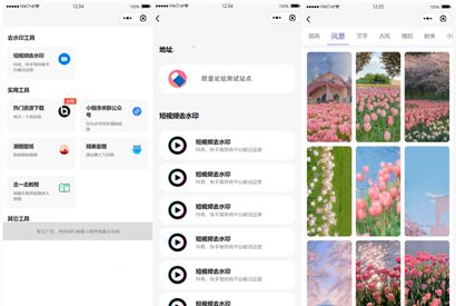 多接口带头像挂件制作短视频去水印微信小程序源码