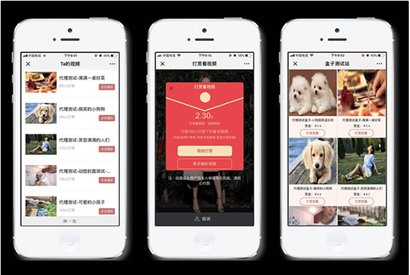 DS正版视频打赏系统V15+代理商功能+试看功能+多种免签支付接口+防封功能