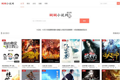 娴娴小说白色干净响应式小说源码 自动采集小说网站源码【站长已测】