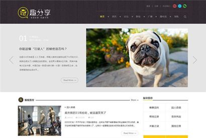 奇趣分享综合趣事百科文章类型discuz模板