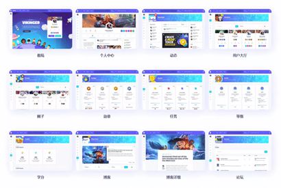 WordPress国外超人气主题Vikinger汉化版