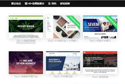 wordpress主题The7_ v9.40可视化建站最新汉化版带秘钥