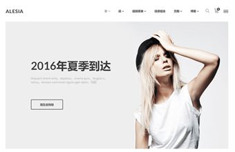 shopify简洁电子商务运动鞋服装商城alesia主题