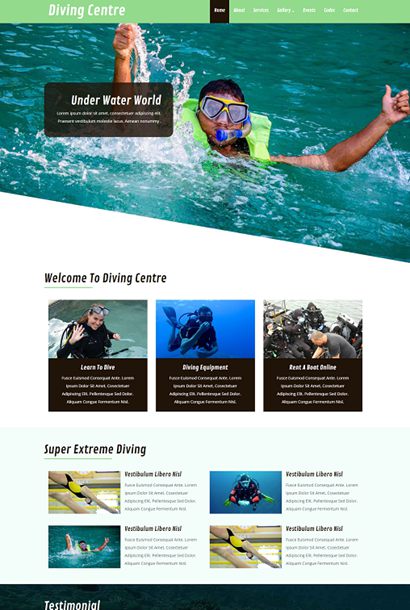 大图响应式海底潜水爱好者模板纯HTML模板