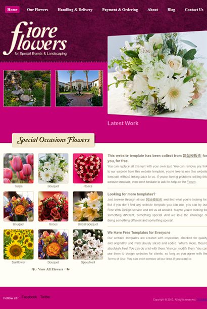 简洁网上订花类企业网店模板纯HTML模板