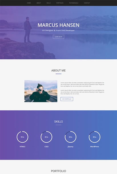 网站开发者求职简历模板