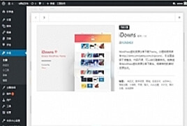 iDowns主题虚拟资源出售下载站 WordPress主题+自适应手机端+全开源 源码下载站