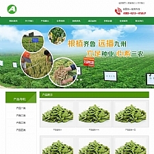 绿色农业种植类网站源码 农产品种植基地织梦模板（带手机数据同步）