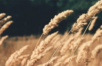 带剪切动画的幻灯片