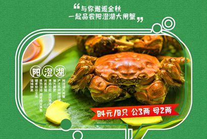 阳澄湖大闸蟹广告海报设计