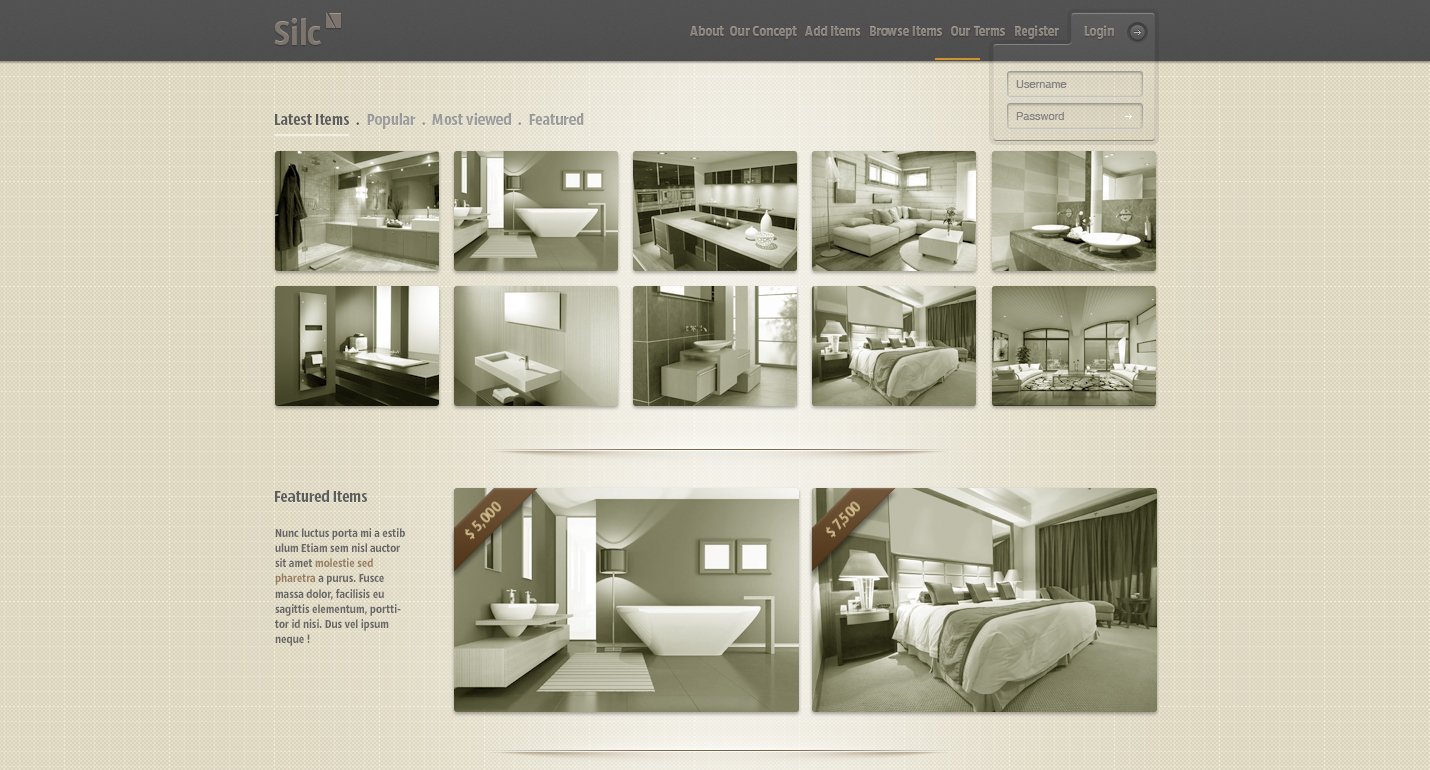 SILC免费网站PSD模板 33