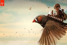 Adobe CC 2017 Win系列软件 免费下载