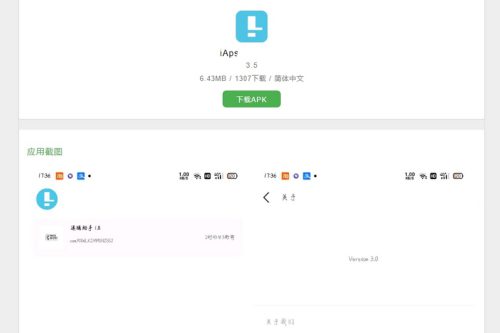 iAPS逆向工具后端内部版源码 全开源