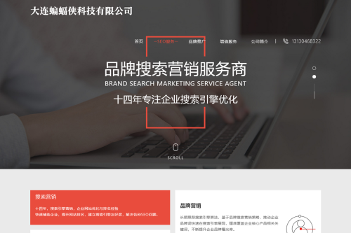 简洁大气且好看的排名seo官网网站源码  html源码