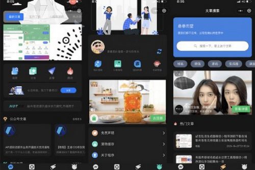 魔改版wordpress博客小程序源码，漂亮UI，无限弹窗广告