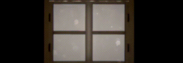 古树旋律：重生/Deemo Reborn（v5506838）